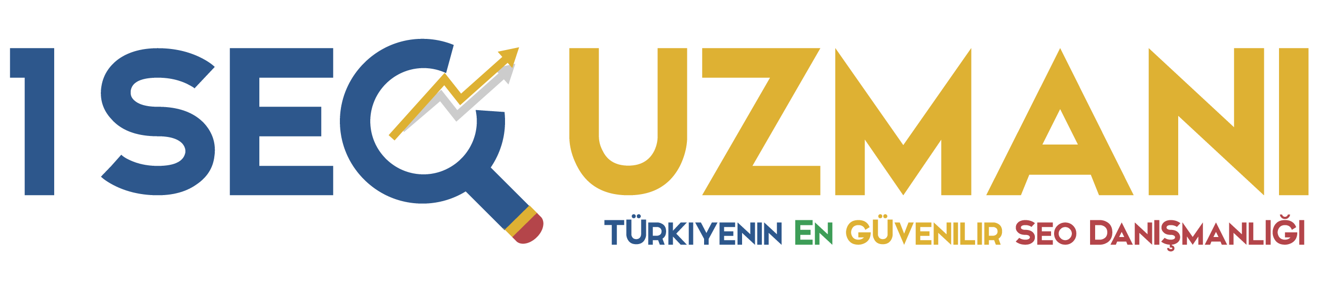 1 SEO Uzmanı